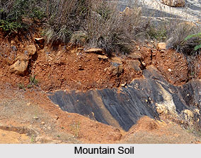 Mountain Soil in India